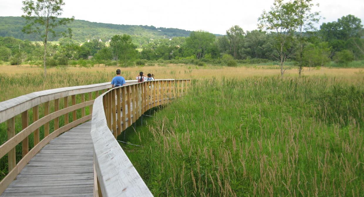 The Appalachian Trail Boardwalk over the Great Swamp in Pawling, N.Y. Credit: New York-New Jersey Trail Conference.