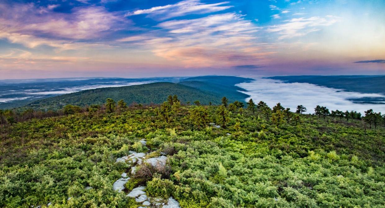View of the Shawangunk Ridge from the Long Path. Photo by Steve Aaron.
