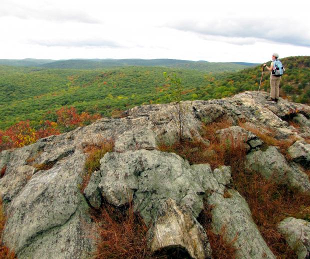 Looking out over Harriman-Bear Mountain state parks. Photo by Dan Balogh.