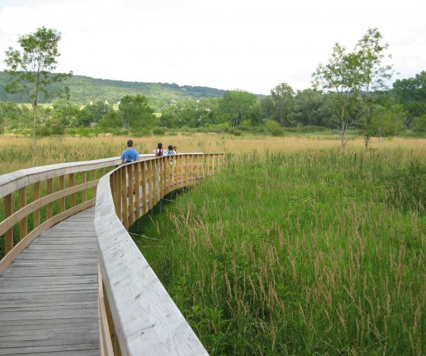 The Appalachian Trail Boardwalk over the Great Swamp in Pawling, N.Y. Credit: New York-New Jersey Trail Conference.
