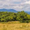 View of Catskills from meadow - Ashokan High Point - Catskill Park - Photo: Bill Roehrig