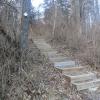 Wooden steps near the start of the Franklin Parker Trail. Photo by Daniel Chazin.