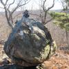 Balanced boulder on the White Trail in Silas Condict County Park. Photo by Daniel Chazin.