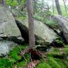 View of rocks along trail - Sugarloaf Hill and Osborn Loop Trail - Hudson Highlands State Park - Photo: Daniel Chazin