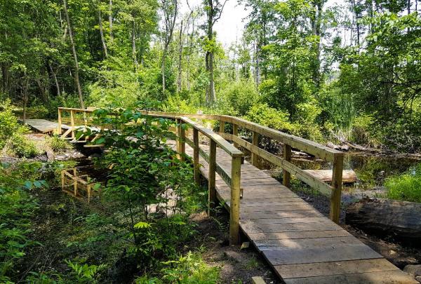 Crom Pond Trail Bridge in FDR State Park. Photo by Jane Daniels.