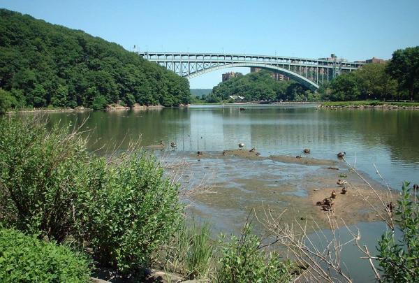 Inwood Hill Park by baslow (Barry Solow)