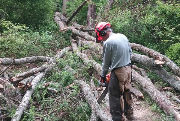 Sawyer Alec Maylon clearing blowdowns on Ramapo Reservation's Marsh Trail. Photo by Chris Connolly
