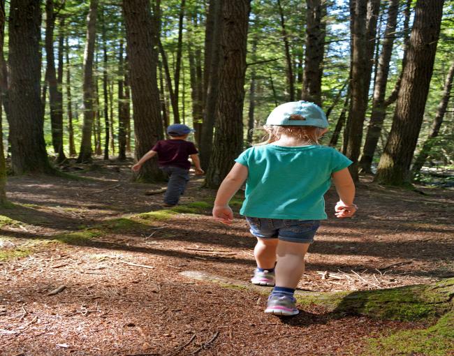 Kids hiking in Stokes State Forest. Photo by Jeremy Apgar.