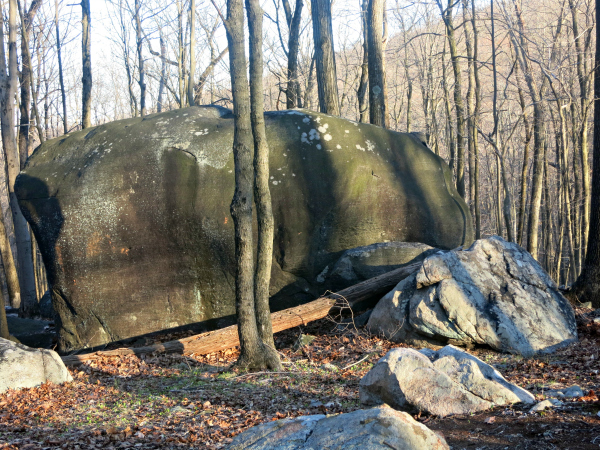 Flat-sided boulder along the Yellow Trail. Photo by Daniel Chazin.