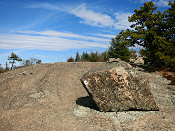 Huge open rock surface along the R-D. Photo by Daniel Chazin.