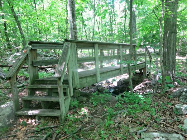 The footbridge over the stream on the Yellow Trail. Photo by Daniel Chazin.