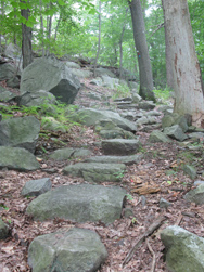 Beginning of trail to Lost Pond. Photo by Daniel Chazin.