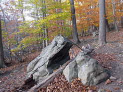 Split rock along the orange trail. Photo by Daniel Chazin.