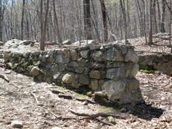 Sone ruins along the Macavoy Trail. Photo by Daniel Chazin.