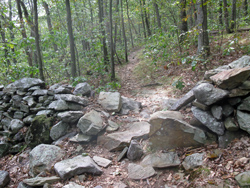 Stone wall near the start of the hike Photo by Daniel Chazin.