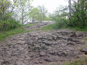 Typical Watchung Basalt on Yellow Trail. Photo by Daniel Chazin.