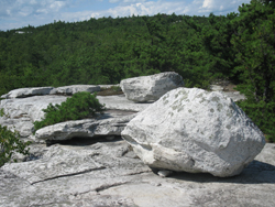 Two glacial erratics at the viewpoint along the Verkeerder Kill Falls Trail. Photo by Daniel Chazin.