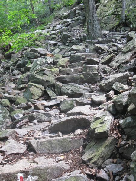 Stone steps on the Red Dot trail. Photo by Dan Chazin.