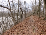 Blue Trail Along Delaware River