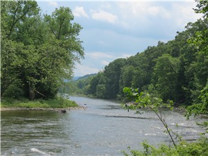 Looking South Down the Housatonic from River Road