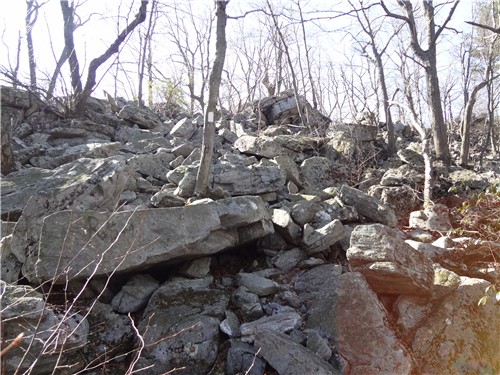 Rock Scramble to Wolf Rocks
