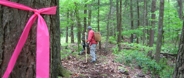 Volunteers clear new treadway for the Mine Hole Trail. Photo by Georgette Weir