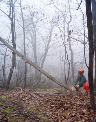 Team clears trails on Schunemunk Mountain. Photo by Andy Wong.
