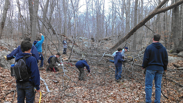 Troop 49 Scouts clear a portion of the Schuber Trail.