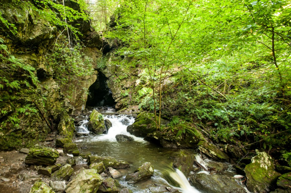 Explore More Than Ever Before Through Dover Stone Church Preserve