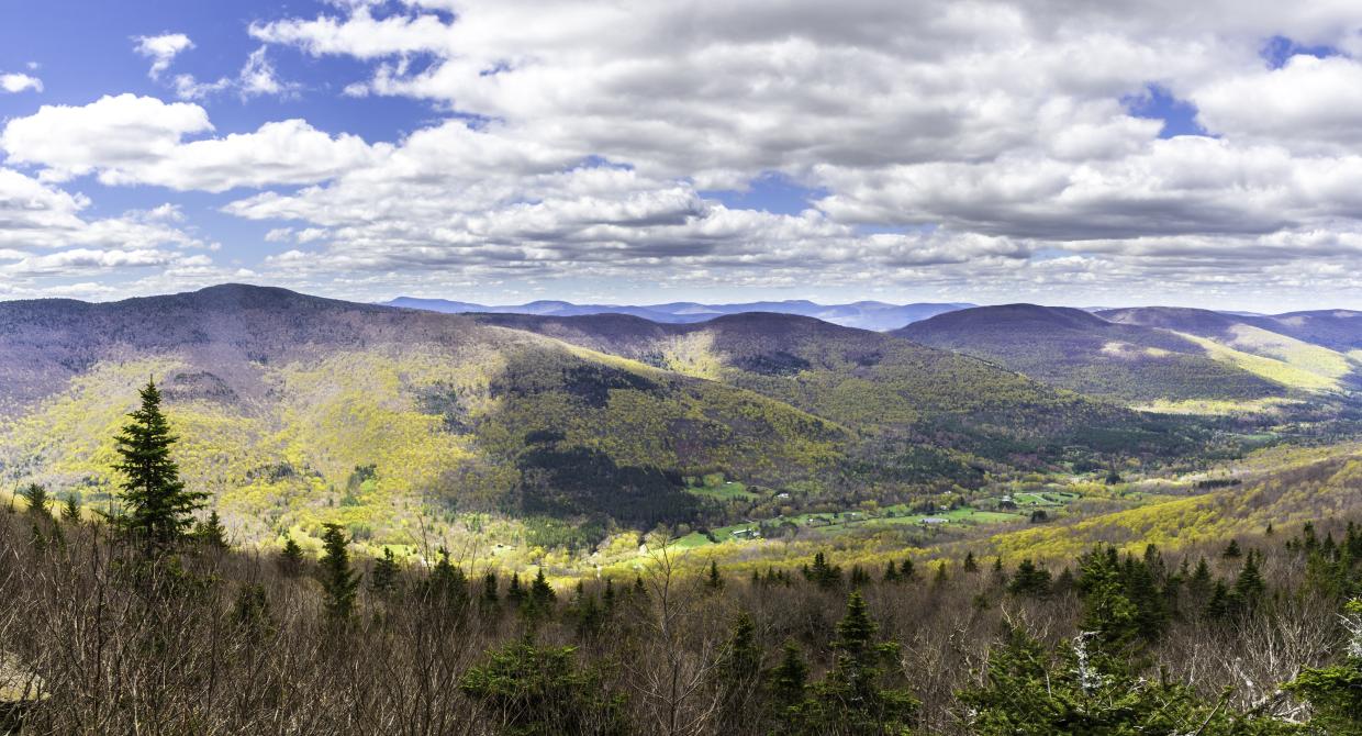Trail Conference Awarded Funds for Catskill Conservation Efforts
