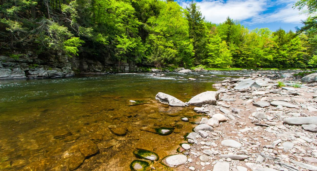 New Trails in the Neversink River Unique Area