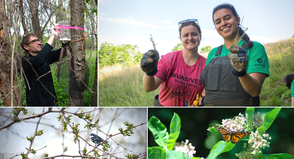 Trail Conference Receives 5-Year Contract to Continue Leading Lower Hudson PRISM