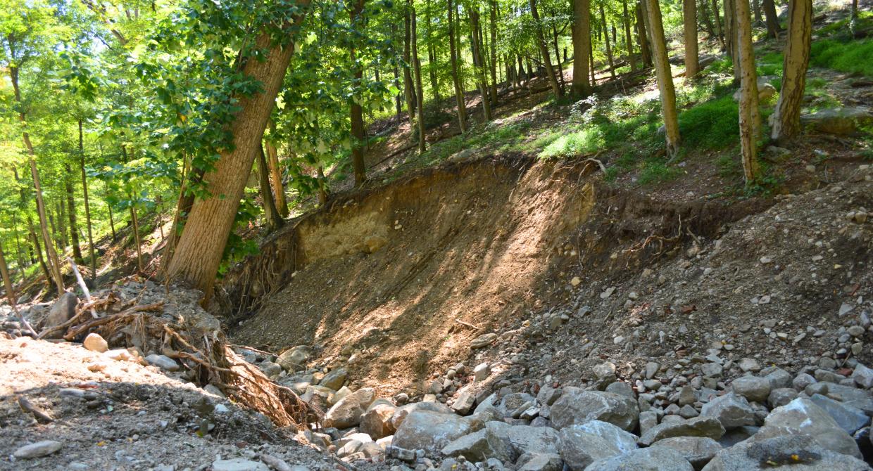 Trail Closure Updates: Bear Mountain and Harriman State Parks
