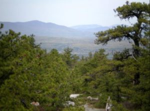 View of the Catskills from the Mine Hole Footpath. 2011 [JAKOB FRANKE]