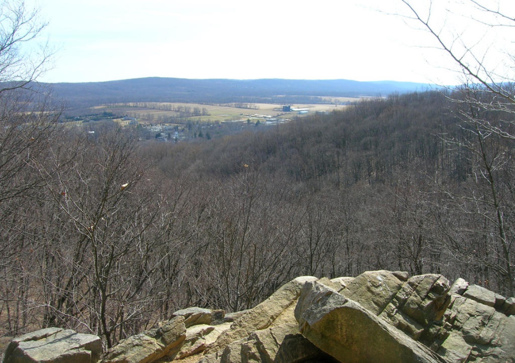 PP/HT view point