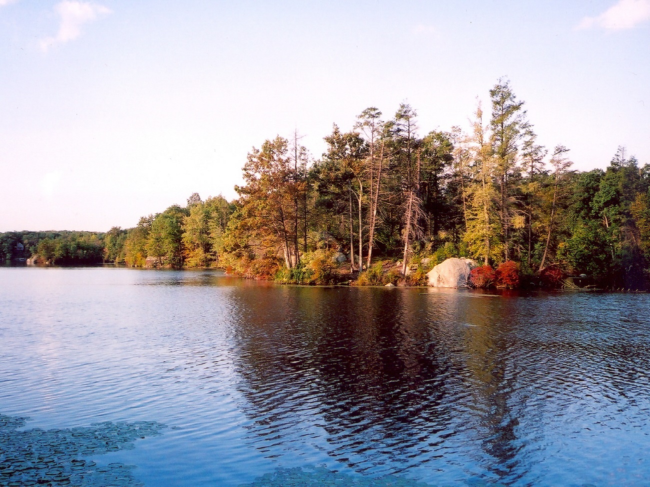 Bear Pond