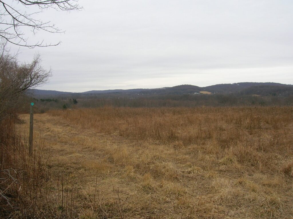 HT CWMA along fields