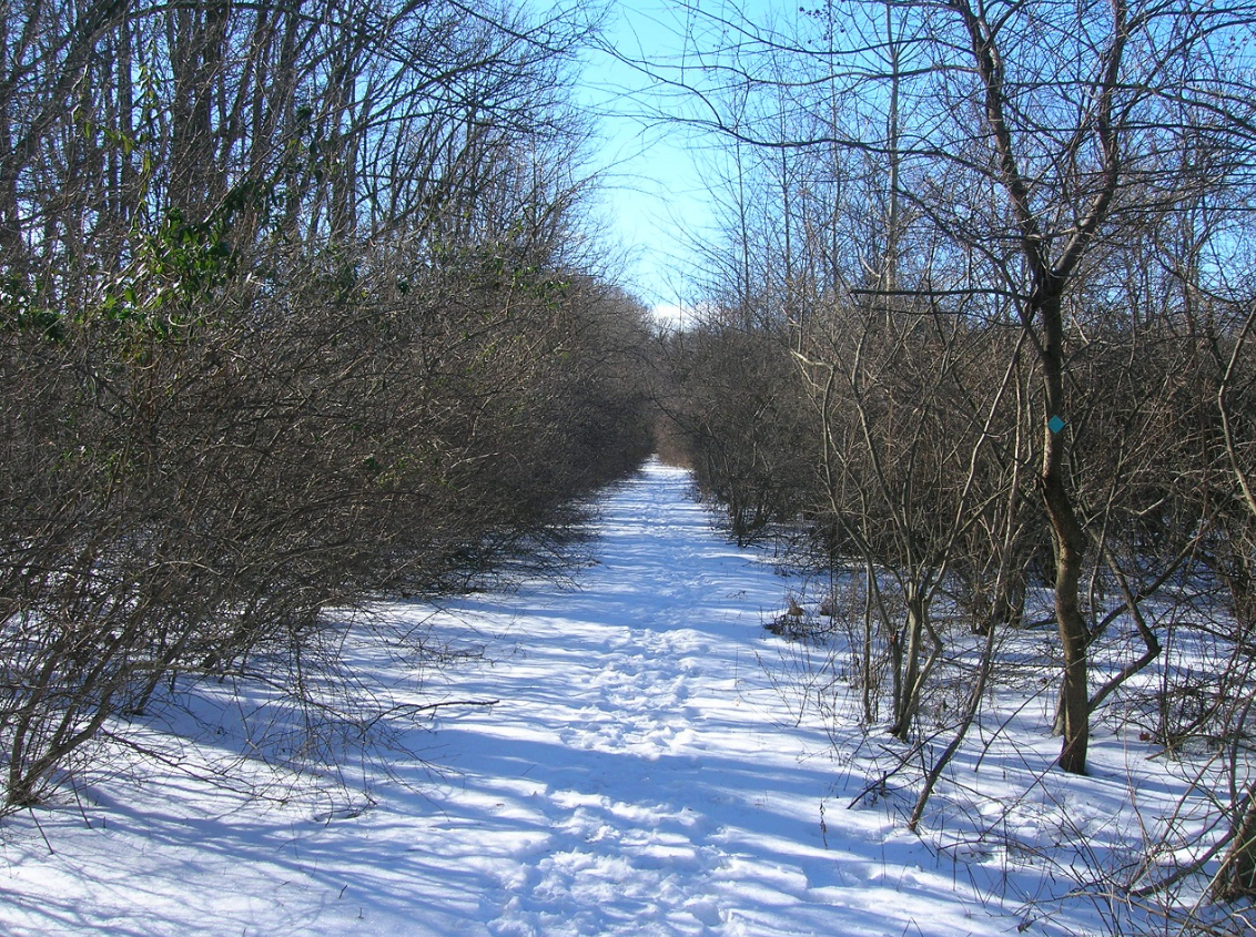 HT NJAS Deerpath Sanctuary through fields