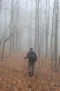 Foggy woods. 2012 [JAKOB FRANKE]