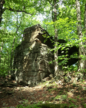 At the bottom of Bangle Hill, near Peekamoose Road. 2012 [JAKOB FRANKE]