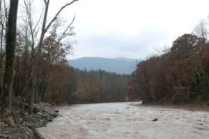 Esopus Creek in Phoenicia. 2012 [JAKOB FRANKE]
