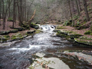 Warner Creek. 2009 [JAKOB FRANKE]