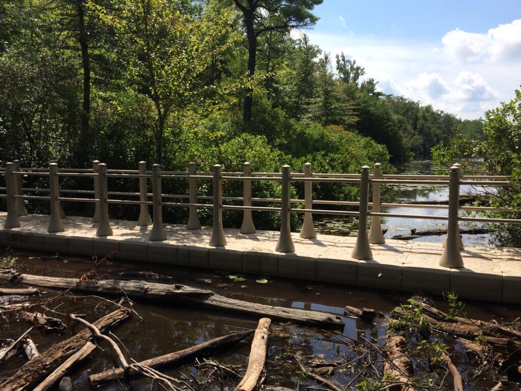 Bob Ross has a tenacious appetite for innovative projects. A noteworthy venture was his support in funding the creation of a floating walkway along Terrace Pond in Wawayanda State Park.