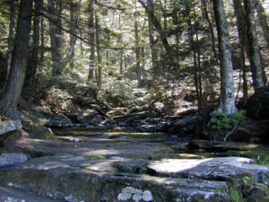 Buttermilk Falls during the dry season. 2001 [HERB CHONG]