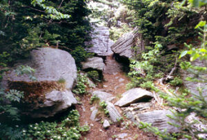Ledge on the Escarpment Trail. 2001 [ED WALSH]