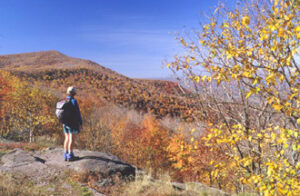 Windham High Peak from Burnt Knob. 2001 [MICHAEL WARREN]