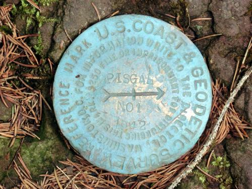USCGS marker at the summit of Mt. Pisgah. 2012 [JAKOB FRANKE]