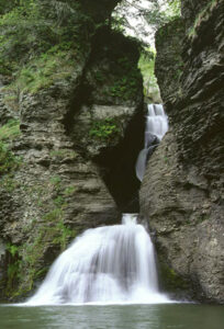 Mine Kill Falls. 2001 [MICHAEL WARREN]