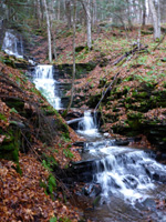 Falls in the Looking Glass Pond outlet stream. 2015 [JAKOB FRANKE]