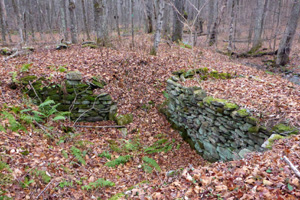 Remnants of saw mill in Doney Hollow. 2015 [JAKOB FRANKE]